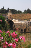 Noria, Hama