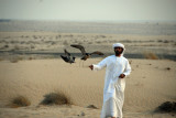 Falconry demonstration, Bab Al Shams