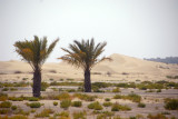 Desert near Bab Al Shams