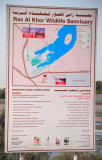 Ras Al Khor wildlife sanctuary