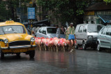 Red marked sheep being led through downtown Calcutta