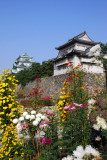 Chrysanthemum Exhibition, Nagoya Castle