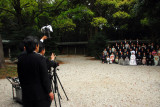Wedding photographer at work, Meiji Shrine, Tokyo