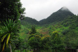 Doi Ang Khang, 1931m