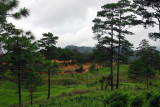 Quiet July day over at the Myanmar military post