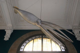 13m giant squid caught off Newfoundland, Monaco Oceanographic Museum