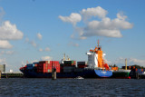Container ship Jork Reliance (St. Johns - 9328041) Port of Hamburg