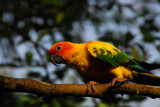SingaporeZooFeb07 263.jpg