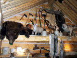 Trappers hut, Journey Museum, Rapid City