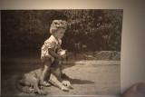 Playful animals<br>circa 1947