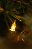 Light