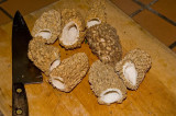 More Wild morels (a gift)