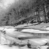 Branch Creek in Winter
