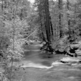 Downstream - Ricketts Glen SP