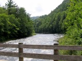 A Loyalsock View