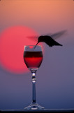 Pastel Hummer Sip in Flight small glass