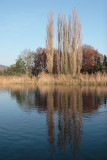 061126_Dietikon_31.JPG