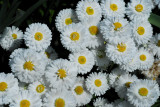 TAI_0668.JPG