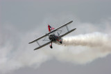 Wing Walker