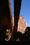 Morning Glory Natural Bridge