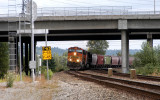 Seattle-bound BNSF grain train rounds the curve under Interstate 405