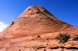 The hump at the top of the ramp: bush is about 4 feet (1.2m) tall