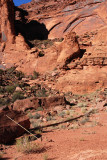 Metal snake at Jacksons Ladder