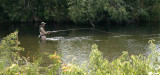 Fishing in the Cedar River