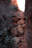 Where I'm going: rocky corridor