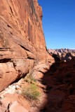 Shadowy hiking route at the base of a wall