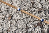 Dried soil (2 of 2)