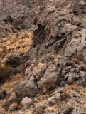 Detail of rock formation: were the holes formed by gas bubbles during an eruption?