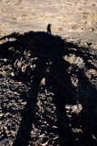 Shadow shot while standing atop The Hill