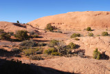 Poison Spider Mesa Trail (purplish rock)