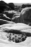 Little garden near Delicate Arch