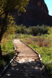 Boardwalk and cliff
