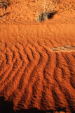 Wrinkles in the wash---get out the iron and start pressing!