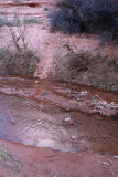 Stepping stones facilitate a fording of Kane Creek