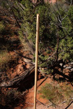 The hiking stick I left here in March 2007, totally useless because it had split open along its entire length