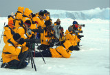 Antarctic visitors