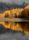 Fall Colors
