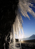 Icicles And Morning Light