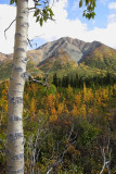 View From Richardson Highway