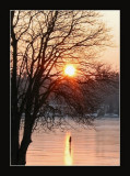 Alone on the ice