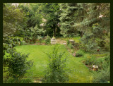The garden