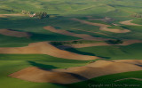 Palouse Topo