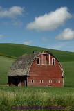 Red Barn Postcard