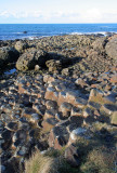 giants causeway_1