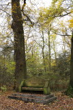Haarlemmer Hout
