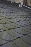 Bavo Church; roof